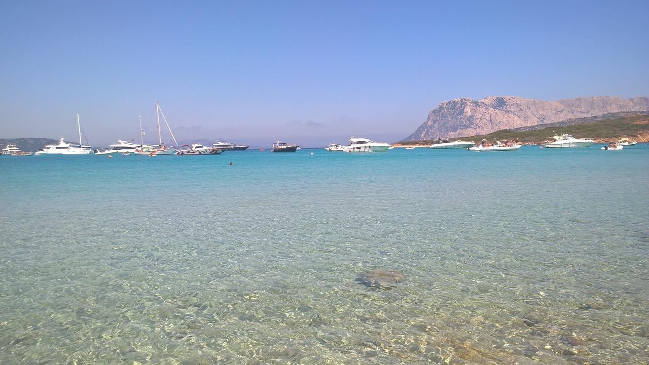 Residence Porto Coda Cavallo San Teodoro  Eksteriør bilde