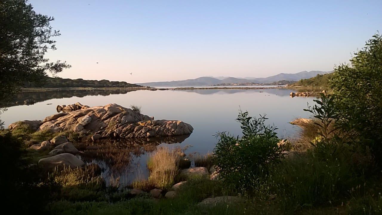 Residence Porto Coda Cavallo San Teodoro  Eksteriør bilde