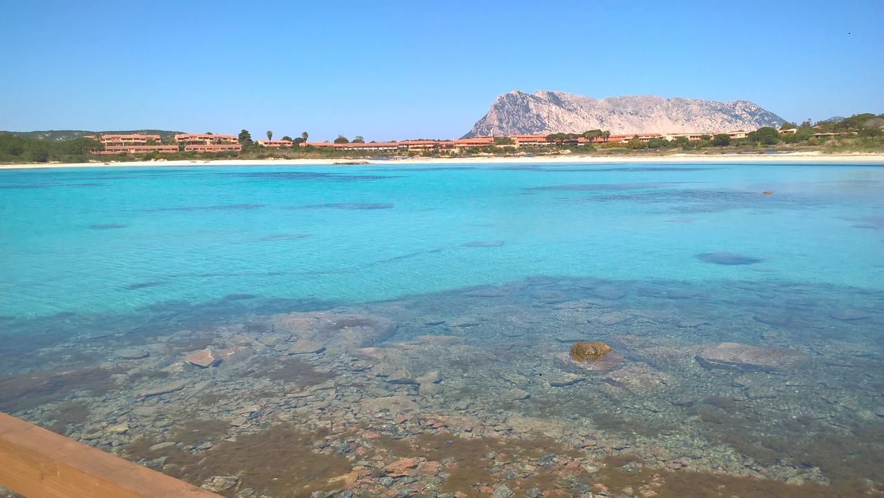 Residence Porto Coda Cavallo San Teodoro  Eksteriør bilde