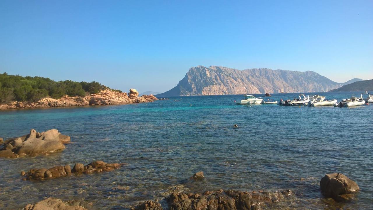 Residence Porto Coda Cavallo San Teodoro  Eksteriør bilde