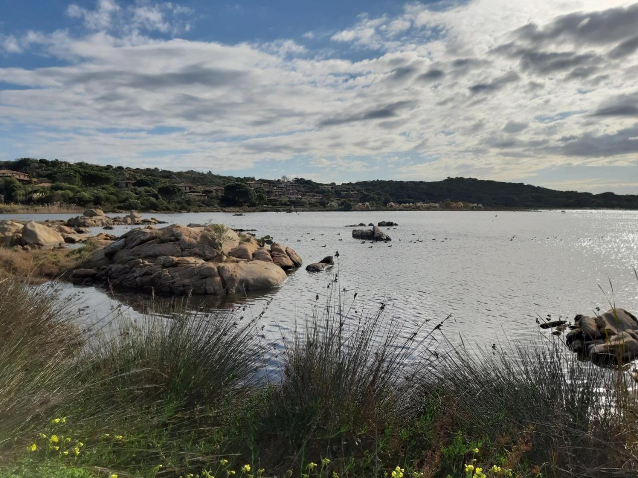 Residence Porto Coda Cavallo San Teodoro  Eksteriør bilde
